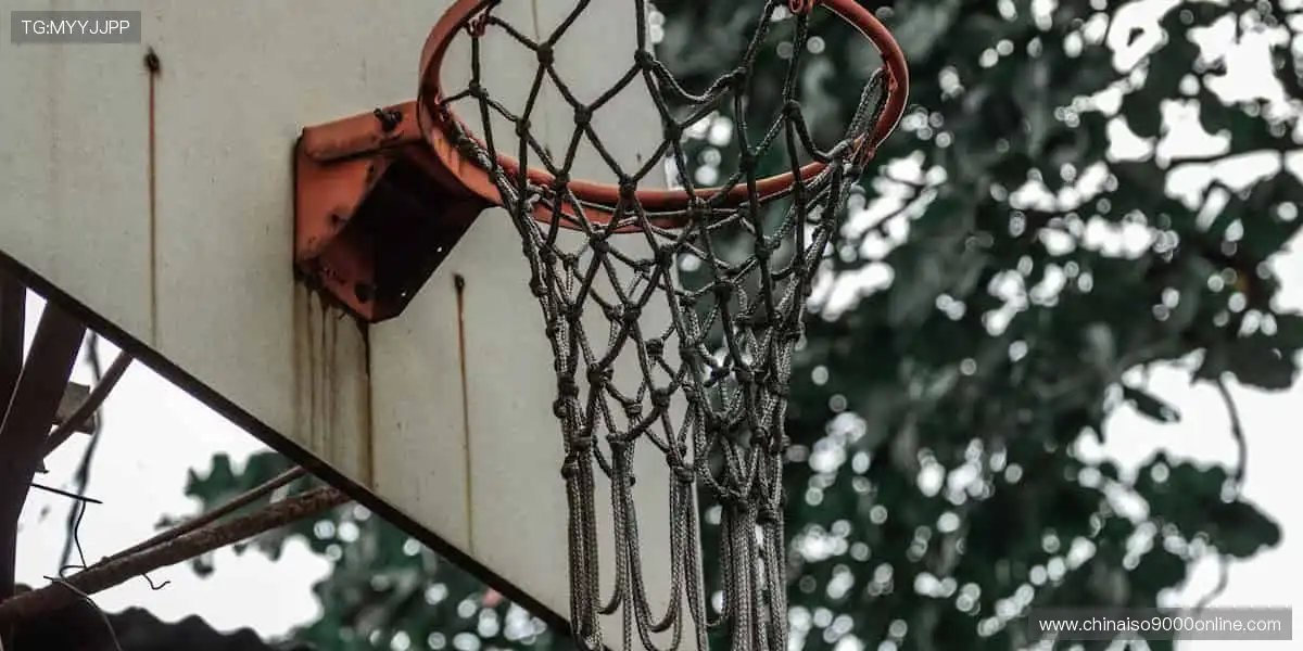 巅峰对决，不容错过！🏀
